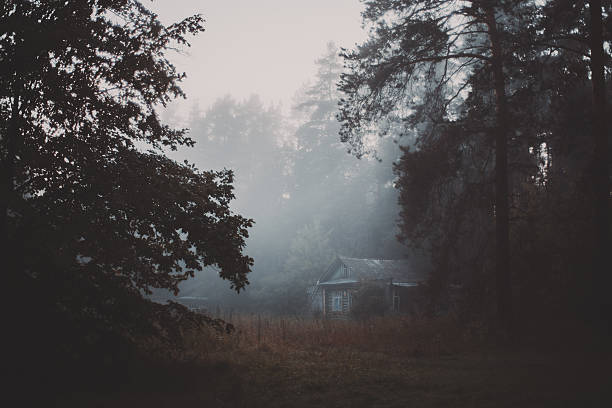 istock Foggy morning in village in forest 625801042
