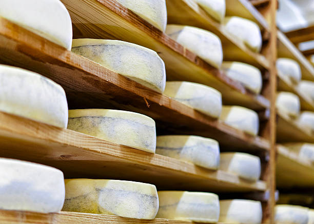 istock Aging Gruyere de Comte Cheese at maturing cellar at creamery 625803450
