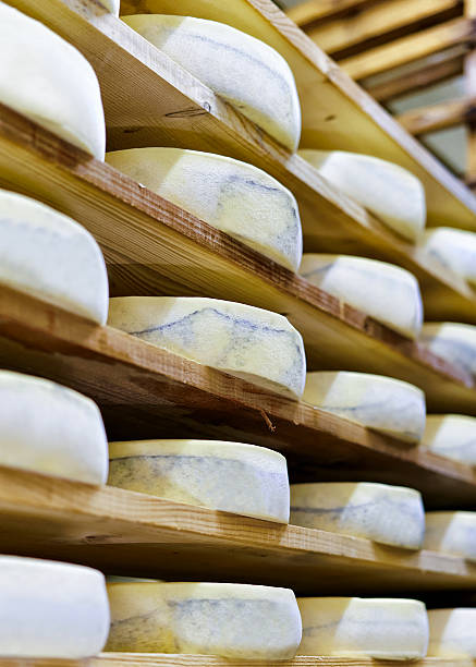 istock Aging Gruyere de Comte Cheese in maturing cellar at creamery 625803498