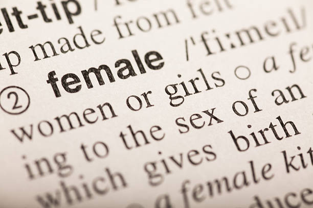 istock female - word in dictionary 625803916