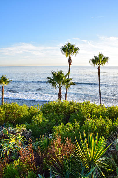 istock Heisler Park Laguna Beach 625809278