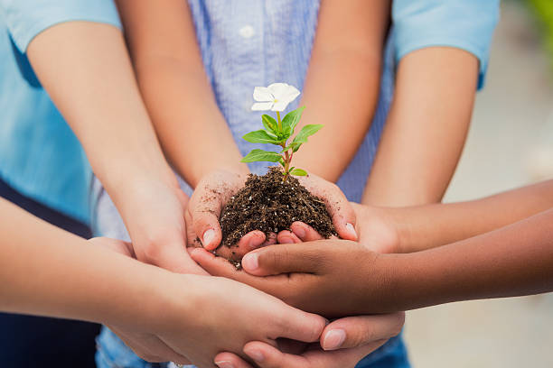 diversos niños sostienen plantas jóvenes con flores - school farm fotografías e imágenes de stock