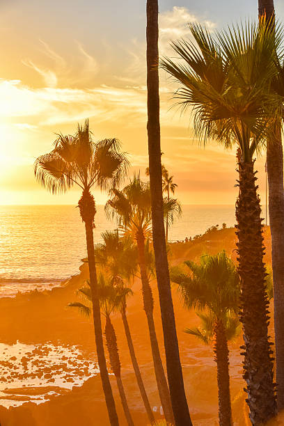 istock Heisler Park Laguna Beach 625809374