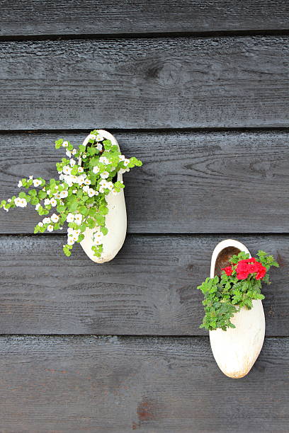 Shoe pollen hanging on the wall