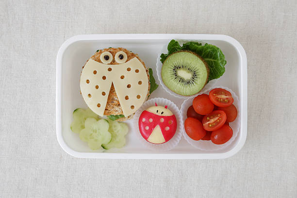 무당 벌레 무당 벌레 건강 도시락, 아이들을위한 재미있는 음식 예술 - lunch lunch box child school 뉴스 사진 이미지