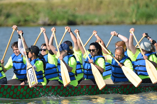 Denver, CO, USA - July 30, 2016: Over 110,000 people attended the 16th Annual Colorado Dragon Boat Festival and enjoyed the exciting dragon boat races. Unidentified team getting ready to row in one of the many races. 