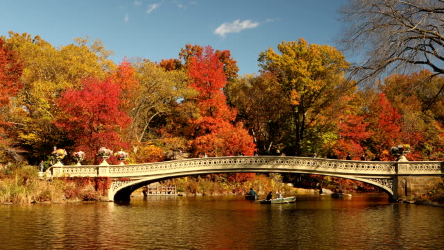 Bow Bridge Autumn in Central Park