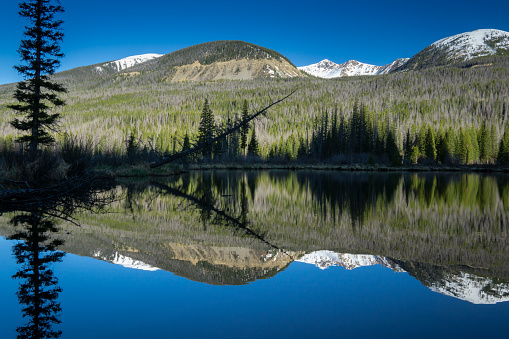 Near Grand Lake, Colorado.  On the west side of Rocky Mountain National Park.