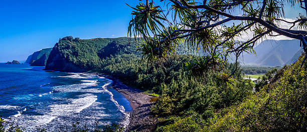 Pololu Valley Hawaii Panorama Panorama overlooking Pololu Valley, Big Island Hawaii, USA shows waves clashing against a beautiful volcanic black sand beach pololu stock pictures, royalty-free photos & images