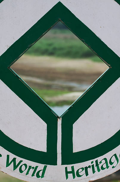 istock Chitwan National Park, Nepal 625842052
