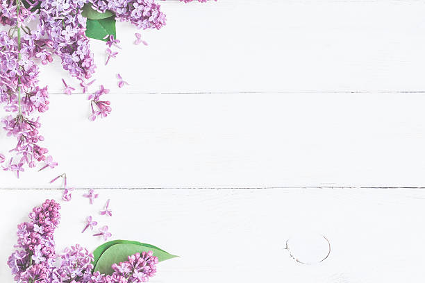 istock Lilac flowers on white wooden background. Top view, flat lay 625844398