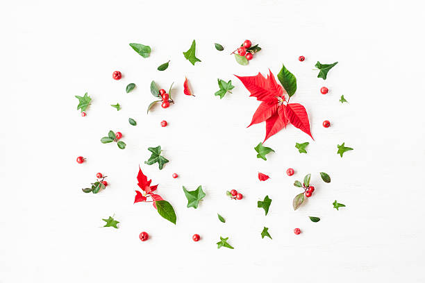 marco hecho de plantas tradicionales de navidad. lay plana, vista superior - wintergreen fotografías e imágenes de stock