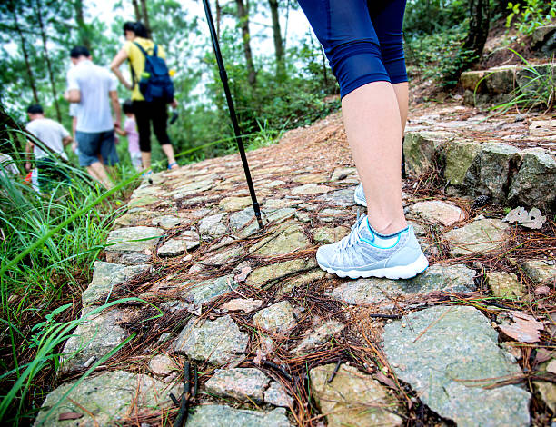 istock Group of people traveling 625850704