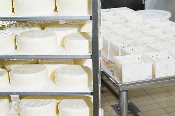 istock Pieces of fresh cheese on the shelves 625852988