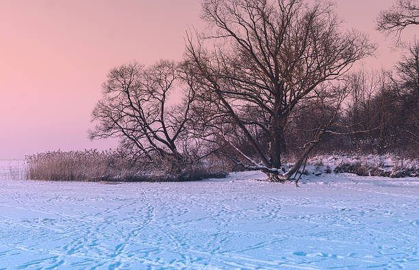 istock Frozen Sea In Sunset Time 625853238