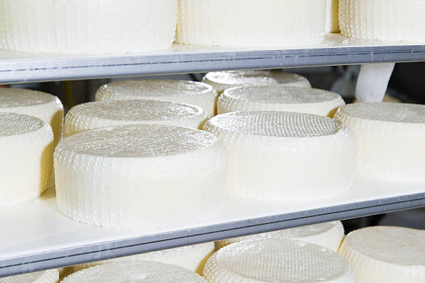 istock Pieces of fresh cheese on the shelves 625853846