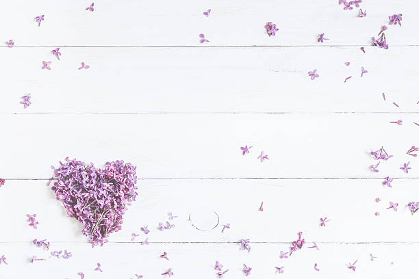istock Valentine's Day. Lilac flowers. Flat lay, top view 625859660