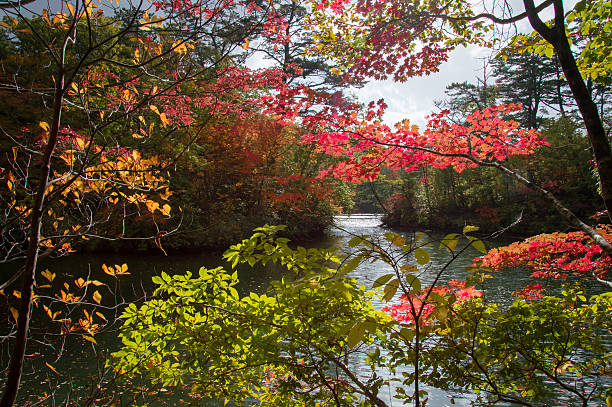 istock Red and Yellow Autumn Leaves on a day in October 625860384