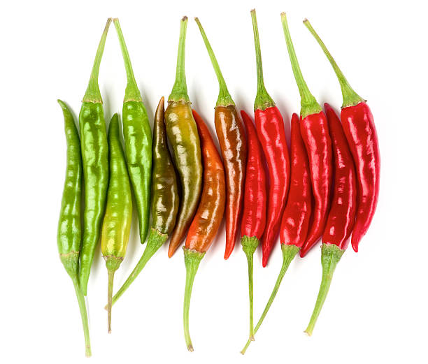 istock Arrangement of Chili Peppers 625861298