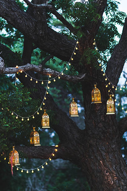 ろうそくとヴィンテージランプの多くの夜の結婚式 - deciduous tree flash ストックフォトと画像