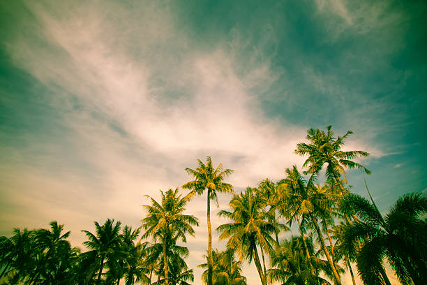 istock Sky of the tropics,cross processed colors. 625863610