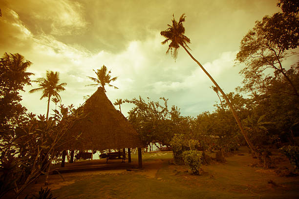 Front view Shot of a rustic bamboo house situated by the river, surrounded by lush tropical vegetation in Makassar rural village setting.