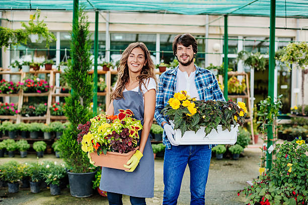 Gardeners holding flowers in planter boxes Young people working with flowers in a garden center. farm produce storage stock pictures, royalty-free photos & images