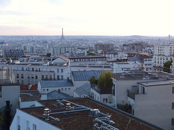 istock Paris view of the roofs 625871576