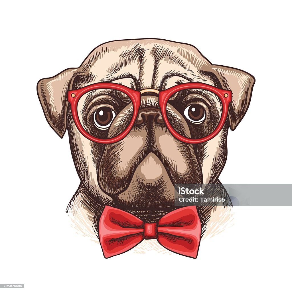 Hand drawn illustration of pug in glasses and bow tie Vector hand drawn illustration of funny little pug in glasses and a bow tie Animal stock vector