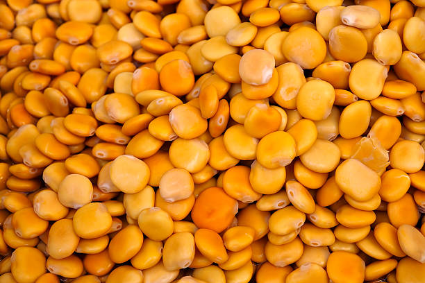 Lupin beans stock photo