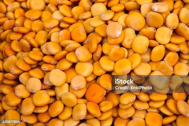 Lupin Beans Stock Photo - Download Image Now - Lupin Bean, Seed, Agriculture