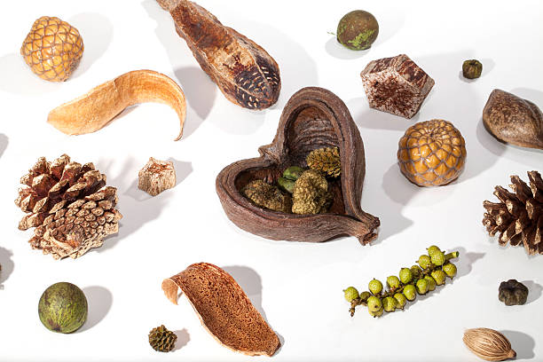istock Christmas Table Spread. Natural Christmas potpourri selection 625878130
