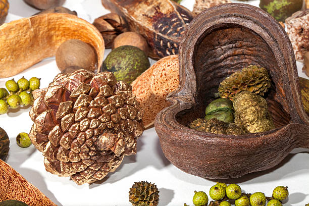 istock Gold pine cone and Christmas potpourri items 625879916