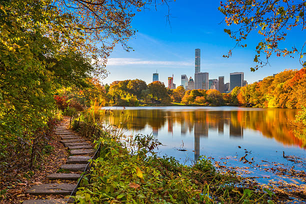 Central Park New York Central Park during autumn in New York City. central park manhattan stock pictures, royalty-free photos & images