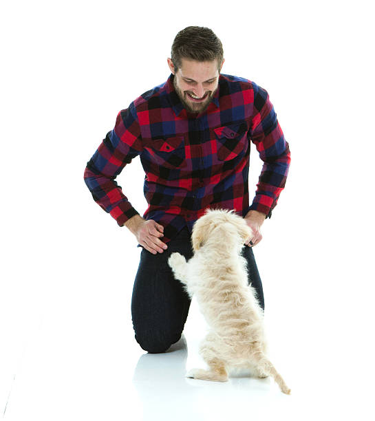 istock Smiling man playing with his dog 625882086
