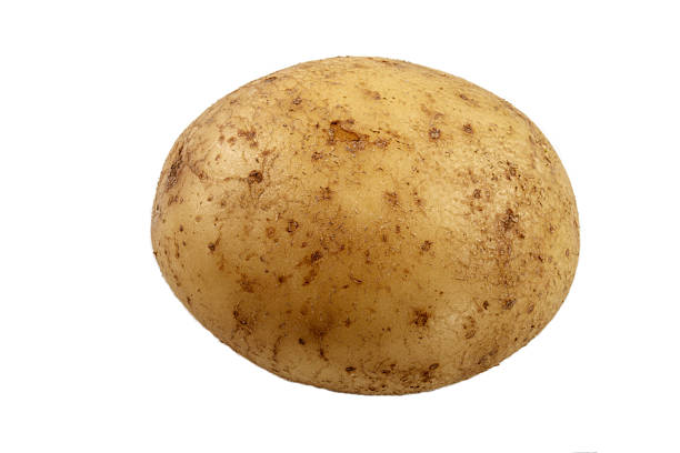 istock raw potato, isolated on white background 625888106
