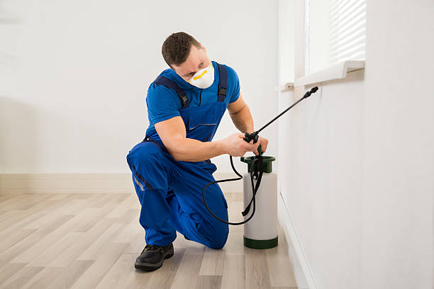 istock Worker Spraying Pesticide On Window Corner 625888476