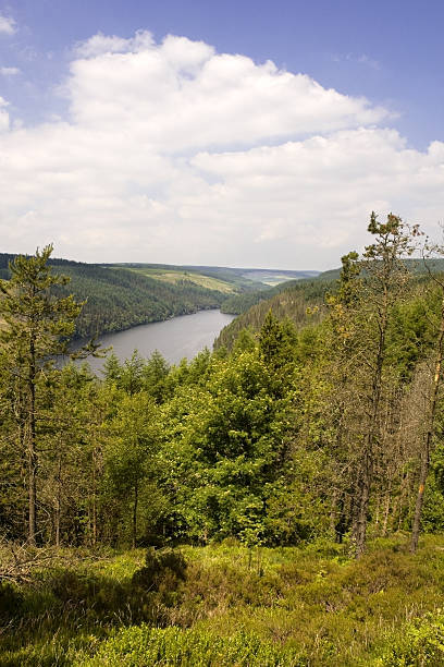 istock reservoir elan valley wales 625888756