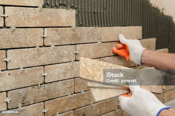 Installing The Tiles On The Wall Stock Photo - Download Image Now - Animal Body Part, Animal Hand, Apartment