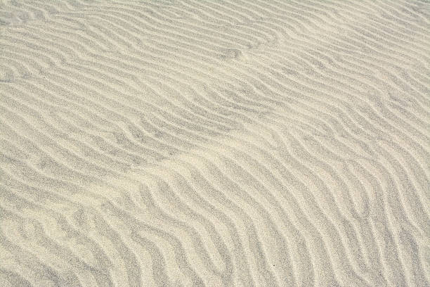 istock Surface of sand dune in the desert 625893578