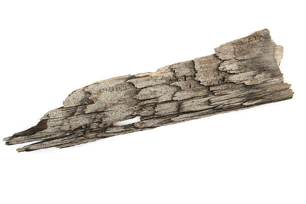 istock Piece of wood plate isolted on white. 625893750