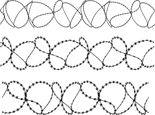 Seamless twisted barbed wire isolated on white Seamless 3 twisted barbed wire shapes isolated on white background. Can be used to create Illustrator  pattern brushes.  barbed wire stock illustrations