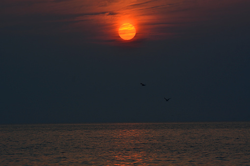 sunset over the sea with birdssunset over the sea with birds