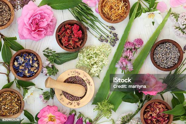 Naturale Medicina Alternativa - Fotografie stock e altre immagini di Fitoterapia - Fitoterapia, Fiore, Erba aromatica