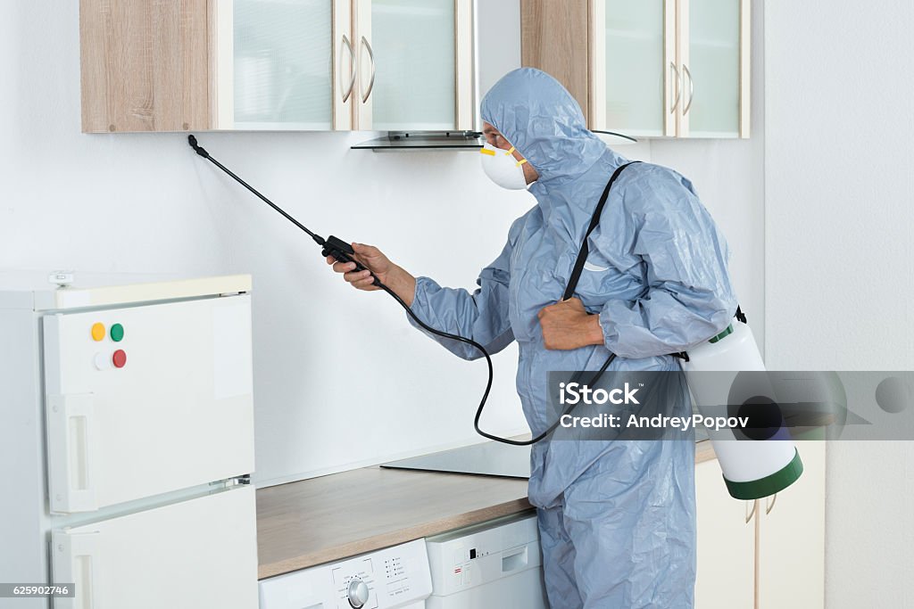 Exterminator In Spraying Pesticide In Kitchen Side view of exterminator in workwear spraying pesticide in kitchen. Pest control Exterminator Stock Photo