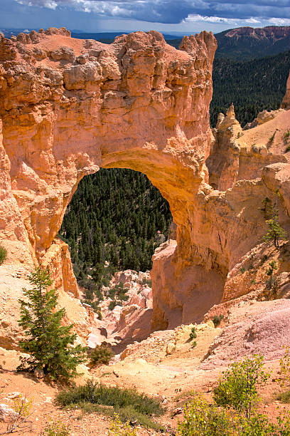 istock Bryce Canyon Colors and Rocky Formations 625903252