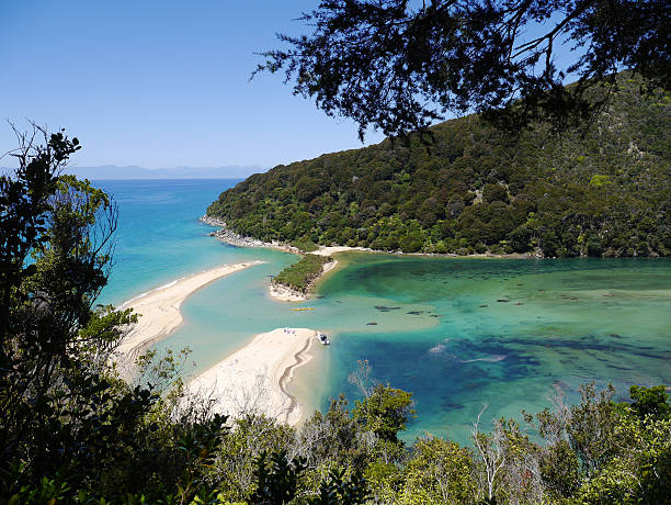 istock Abel Tasman - Beautiful Bay 625907360