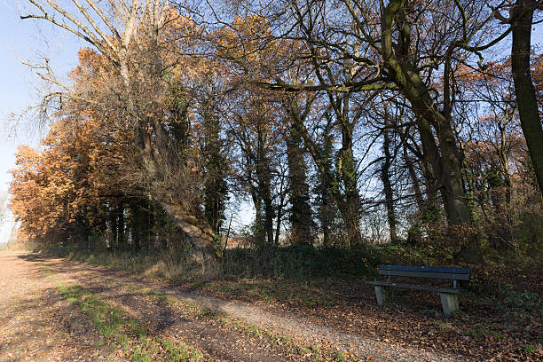 istock Hiker can take a Rest on the Bench / Germany 625908694