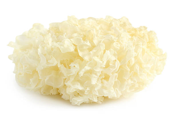 Dried snow fungus (Tremella fuciformis)