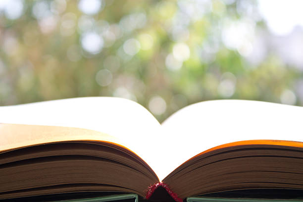 istock open book on background of foliage 625911806